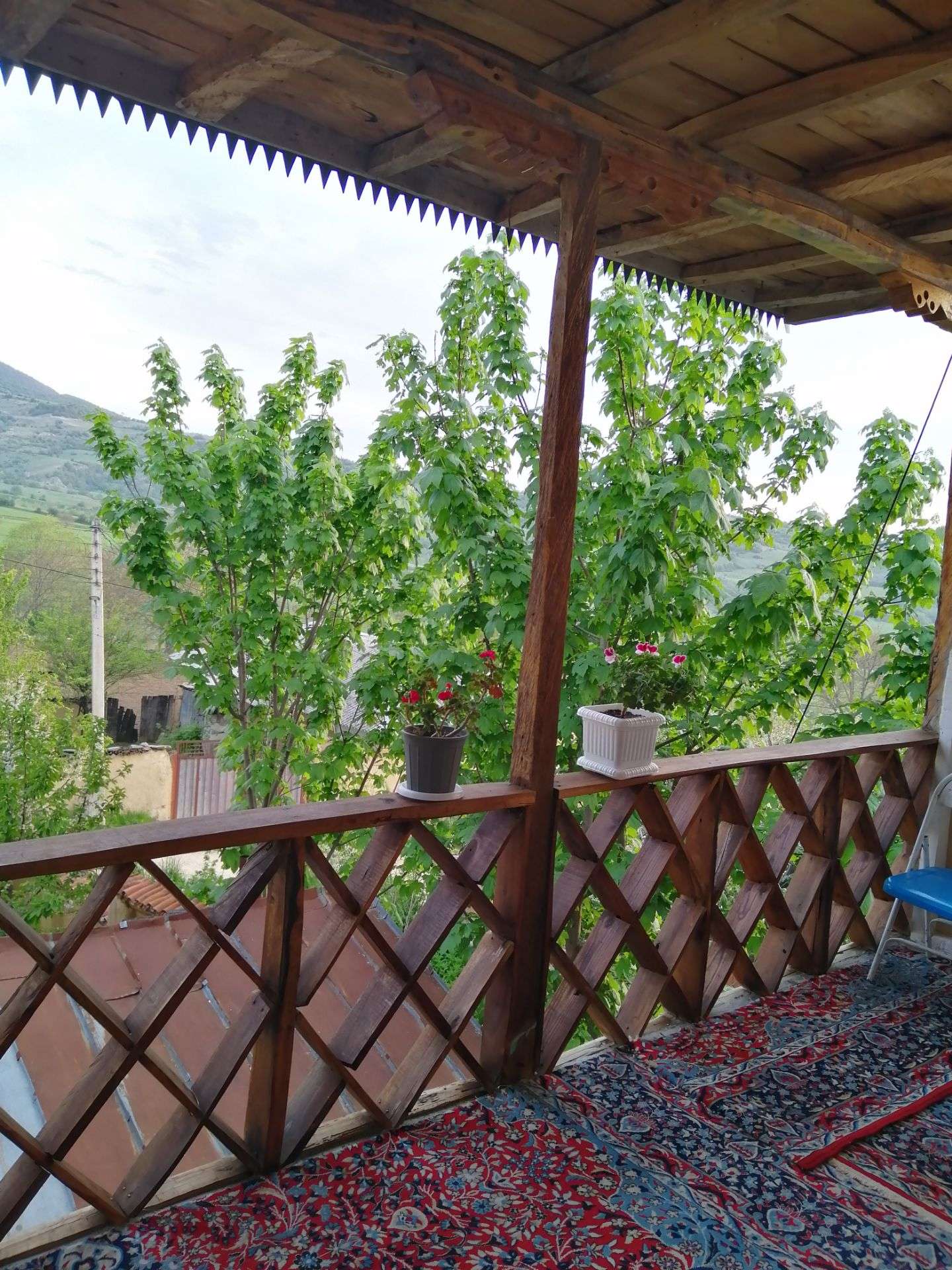 گالری تصاویر