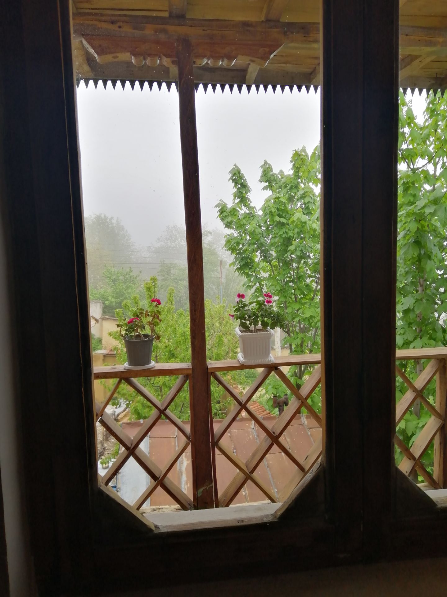 گالری تصاویر